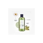Шампунь Lebel Seaweed Shampoo 240 мл (4952195621385) - зменшене зображення 2