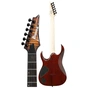 Електрогітара Ibanez RGA42FM DEF (226622) - уменьшенное изображение 3