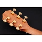 Гітара електроакустична Taylor Guitars 50th Anniversary GS Mini-e Rosewood SB LTD (236873) - уменьшенное изображение 6