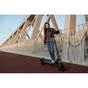 Електросамокат Segway Ninebot F2 PRO E II, чорний (AA.05.12.03.0007) - уменьшенное изображение 9