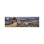 Бинокль Vortex Copperhead HD 10x42 (CPH-1042) (932422) - уменьшенное изображение 5