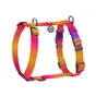 Шлея для собак WAUDOG Nylon Recycled анатомічна H-подібна з QR паспортом, градієнт, M помаранчева (52874) - зменшене зображення 1