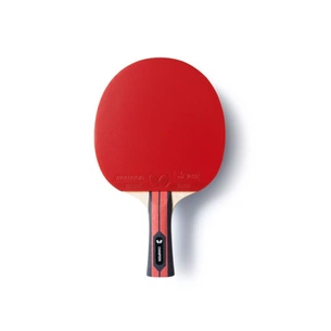 Ракетка для настільного тенісу Butterfly Team Champion FL (6256800002) (931840) зображення 1