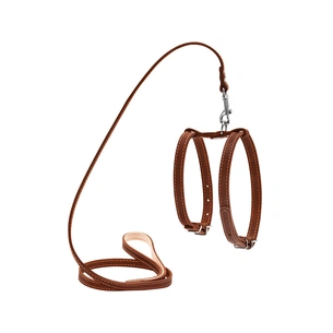 Шлея для собак Collar з повідцем для малих порід Ш 14 мм Д 122 см коричнева (05476) зображення 1