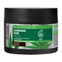Маска для волосся Dr. Sante Cannabis Hair Oil Reconstruction 300 мл (8588006039269) - зменшене зображення 1
