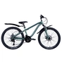 Велосипед Discovery Flint AM DD 24" 13" ST 2024 Чорний (OPS-DIS-24-328) - зменшене зображення 1