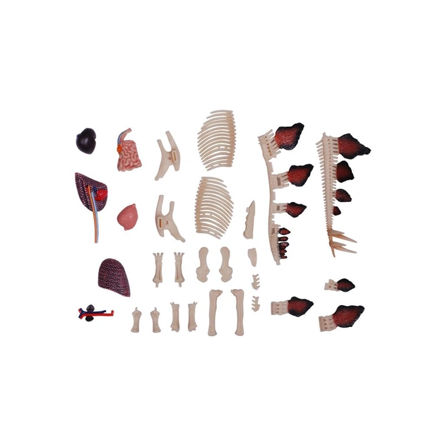 Пазл 4D Master Master Стегозавр (FM-622016) - picture 11