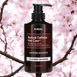 Шампунь Kundal Natural Caffeine & Intensive Scalp Care Shampoo Cherry Blossom 500 мл (8809568745772) - зменшене зображення 2