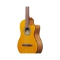 Гитара классическая Ibanez GA3ECE-OAM (236052) - уменьшенное изображение 5
