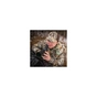 Підзорна труба Vanguard Vesta 460A 15-50x60/45 WP + штатив (DAS301023) - уменьшенное изображение 19