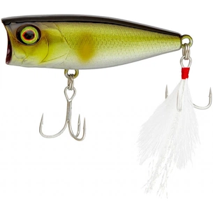 Воблер Jackall SK POP 53mm 6.5g E2 Ayu (1699.00.89) зображення 1