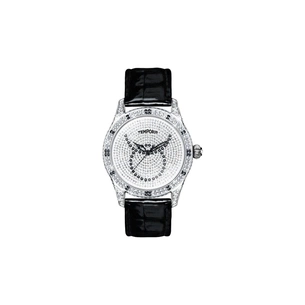 Наручний годинник Temporis T027LS.02 зображення 1