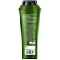 Шампунь Gliss Bio-Tech для схильного до пошкоджень волосся 250 мл (4015100298321) - зменшене зображення 2