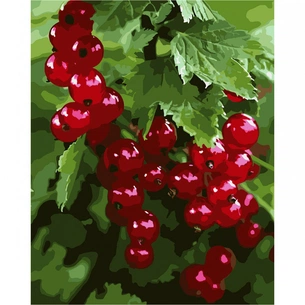 Картина по номерам Santi Смородина 40*50 см (954799) зображення 1