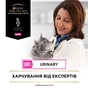 Вологий корм для кішок Purina Pro Plan Veterinary Diets UR ST/OX Urinary З куркою 10 x 85 г (8445290093592) - зменшене зображення 10