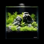 Акваріум Aqualighter набір DAQUARIUM Pico Set 170 мм 5 л (7141) - уменьшенное изображение 4