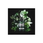 Шампунь Kundal Tea Tree & Macadamia Deep Cleansing Shampoo Baby Powder 500 мл (8809693252787) - зменшене зображення 3