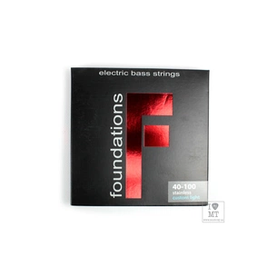 Струни для гітари SIT Strings FS40100L (40-100) (226942) зображення 1