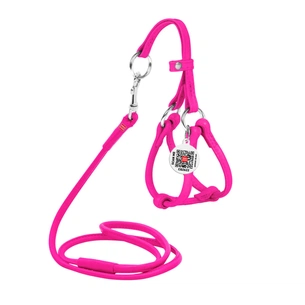 Шлея для собак WAUDOG Glamour з повідцем кругла Д 6 мм А 42-60 см В 46-64 см рожева (34027) зображення 1