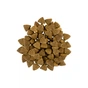 Сухий корм для собак Savory Small Breeds rich in Fresh Lamb 8 кг (4820232630334) - зменшене зображення 5