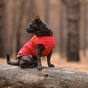 Жилет для тварин Pet Fashion "E.Vest" XS червоний (4823082424436) - зменшене зображення 5