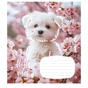 Зошит Школярик Fluffy vibes 12 аркушів клітинка (012-3546K) - зменшене зображення 2