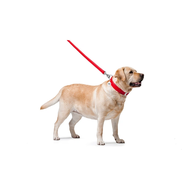 Повідець для собак WAUDOG Glamour шкіряний M-XXL червоний (33763) - picture 3