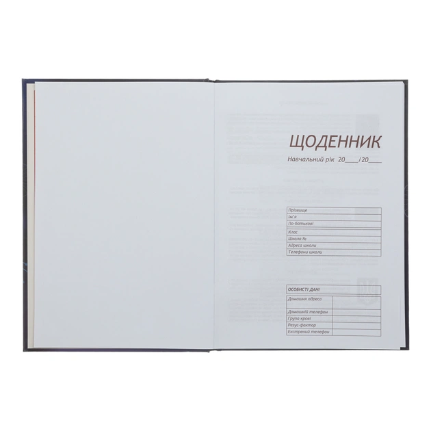 Щоденник шкільний ZiBi Sweet B5 48 аркушів (ZB.13827) - picture 3