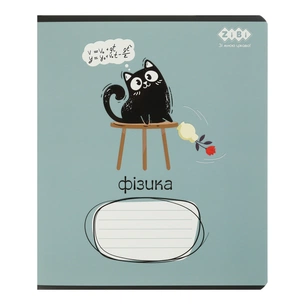 Зошит ZiBi предметний CRAZY CAT 48 аркушів клітинка, фізика (ZB.1703-17) зображення 1