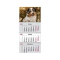 Календар Axent настінний квартальний на 2026 р. (3 пружини) Dogs 1 (8803-26-16-A) - уменьшенное изображение 1