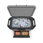 Термобокс Ninja FrostVault 47L Hard Cooler Grey (FB151EUGY) - уменьшенное изображение 9