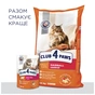 Сухий корм для кішок Club 4 Paws Преміум. З ефектом виведення шерсті 14 кг (4820083909337) - зменшене зображення 8