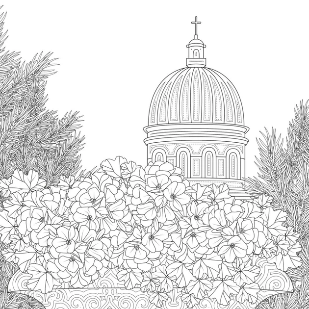 Книга Міські джунглі - Сара Муціо Жорж (9786178287214) - picture 5