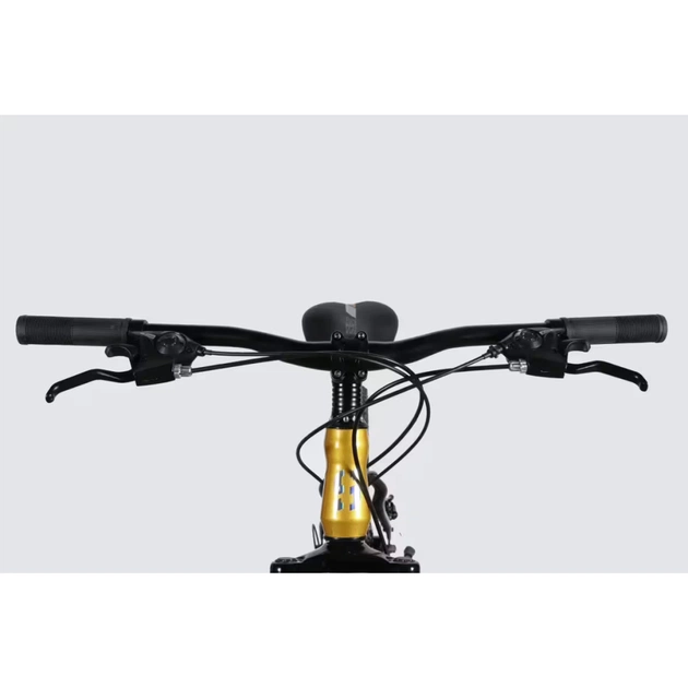 Велосипед Space 29" MARS DD FR рама-18" ST 2026 золотисто-чорний (OPS-SP-29-159) - зображення 6