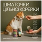 Консервы для кошек Savory филе тунца с макрелью в желе 70 г (4820261920970) - уменьшенное изображение 4