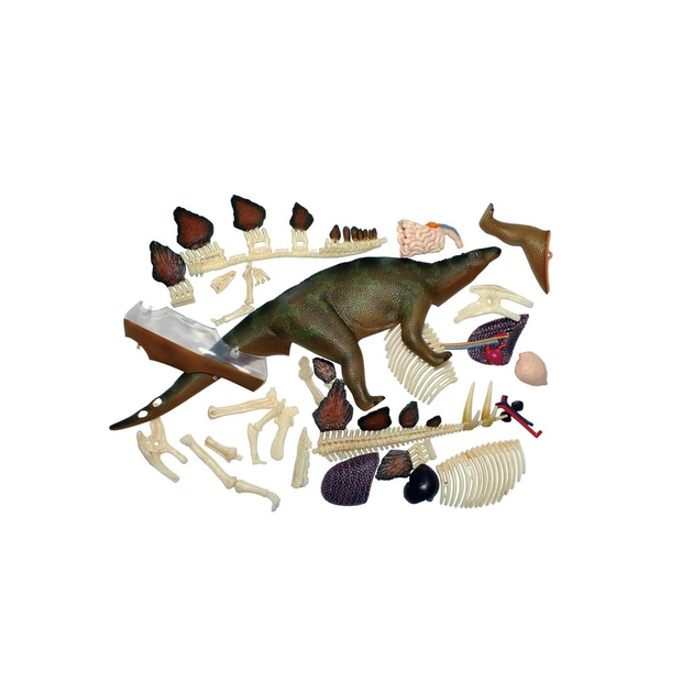 Пазл 4D Master Master Стегозавр (FM-622016) - picture 12