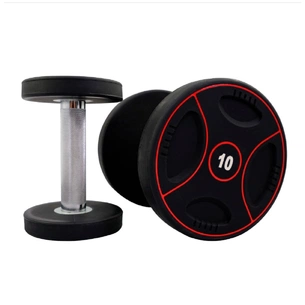 Гантель Stein з поліуретановим покриттям 22.5 кг (DB3110-22,5) зображення 1