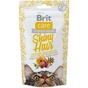 Ласощі для котів Brit Care Shiny Hair з лососем 50 г (8595602521388) - зменшене зображення 1
