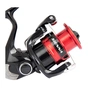Котушка Shimano Sienna C3000 FG 3+1BB 5.01 (SNC3000FG) - уменьшенное изображение 2