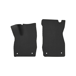 Килимок в салон EVAtech передні Skyworth EV6 2021+ SUV China (SW42129AD2AV4RBB) зображення 1