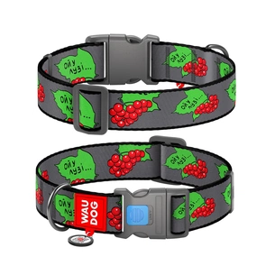 Нашийник для тварин WAUDOG Nylon з QR-паспортом "Калина" пластиковий фастекс XXL (284-0228) зображення 1