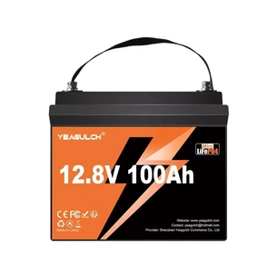 Батарея LiFePo4 YEAGULCH 12.8V 100Ah Mini Max (YEAGULCH-12,8V/100Ah Max) зображення 1