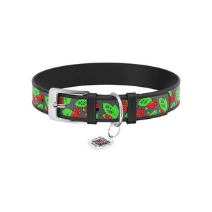 Нашийник для тварин WAUDOG Design з QR паспортом "Калина" XS Ш 12 мм Д 20-28 см (чорний) (3602-0228-01) зображення 1