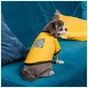 Футболка для тварин Pet Fashion Jessica XS2 жовта (4823082441273) - зменшене зображення 4