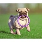 Іграшка для собак Puller Mini 18 см (6491) - зменшене зображення 6