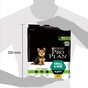 Сухий корм для собак Purina Pro Plan Dog Small&Mini Puppy з куркою і рисом 700 г (7613035118744) - зменшене зображення 2