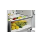 Холодильник Electrolux LNA7CE18S - зменшене зображення 10
