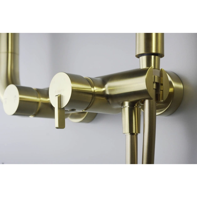 Душовий гарнітур Deante Silia зі змішувачем для душу (NQS_R4XM) - picture 5