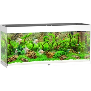 Акваріум Juwel Rio 240 LED білий (4022573034509) зображення 1