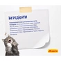 Сухий корм для кішок Josera Daily Cat 2 кг (4032254749820) - зменшене зображення 4